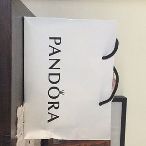 Pandora necklace (BRAND NEW NEVER WORN)